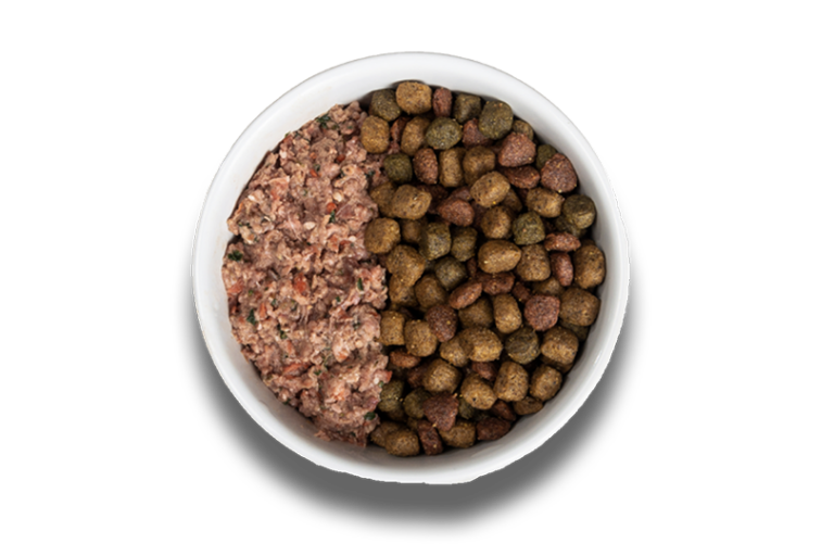 dog-food-transition-guide