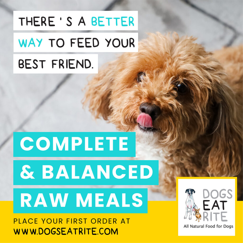 Raw food can help your best friend live a longer, healthier, happier life. 