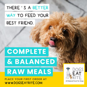 Raw food can help your best friend live a longer, healthier, happier life.