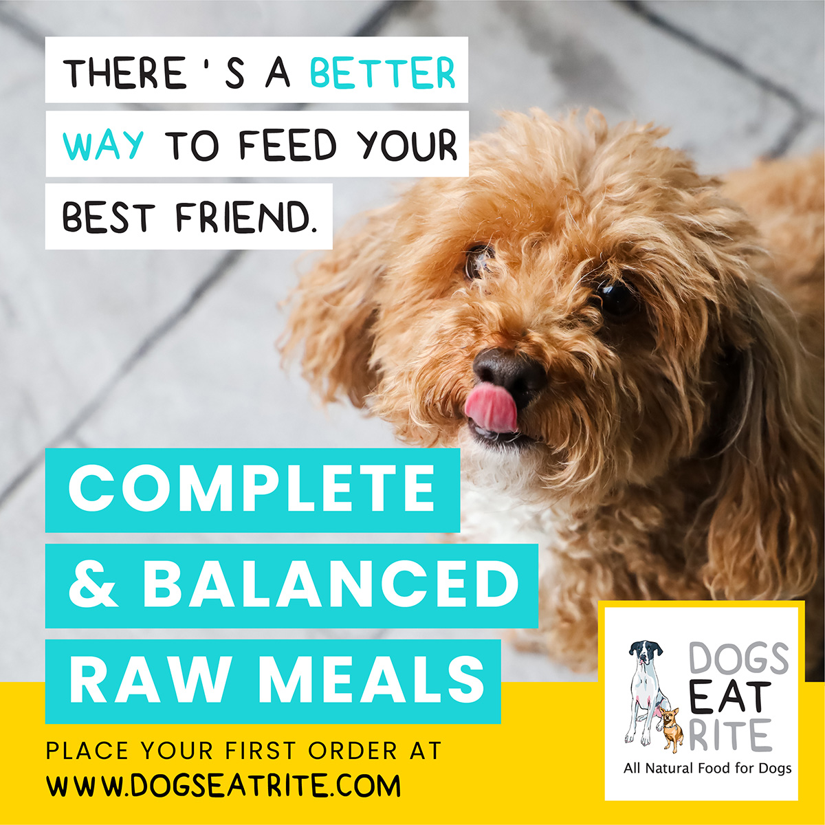 Raw food can help your best friend live a longer, healthier, happier life.