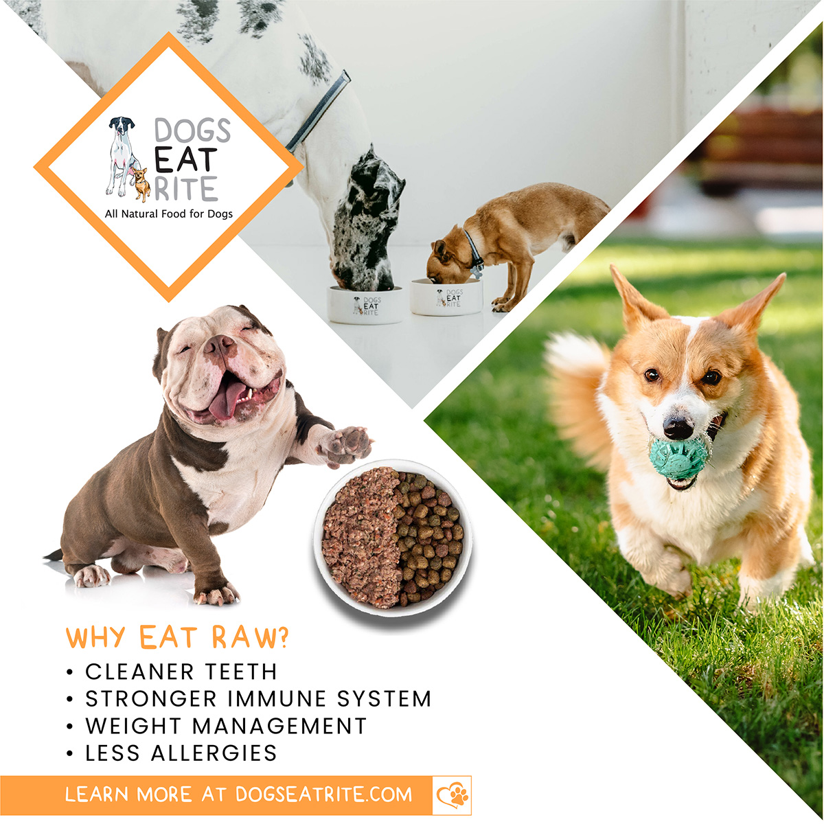 At Dogs Eat Rite we create all natural raw dog food meals with optimal health benefits so that your best friend lives a longer, healthier, happier life.