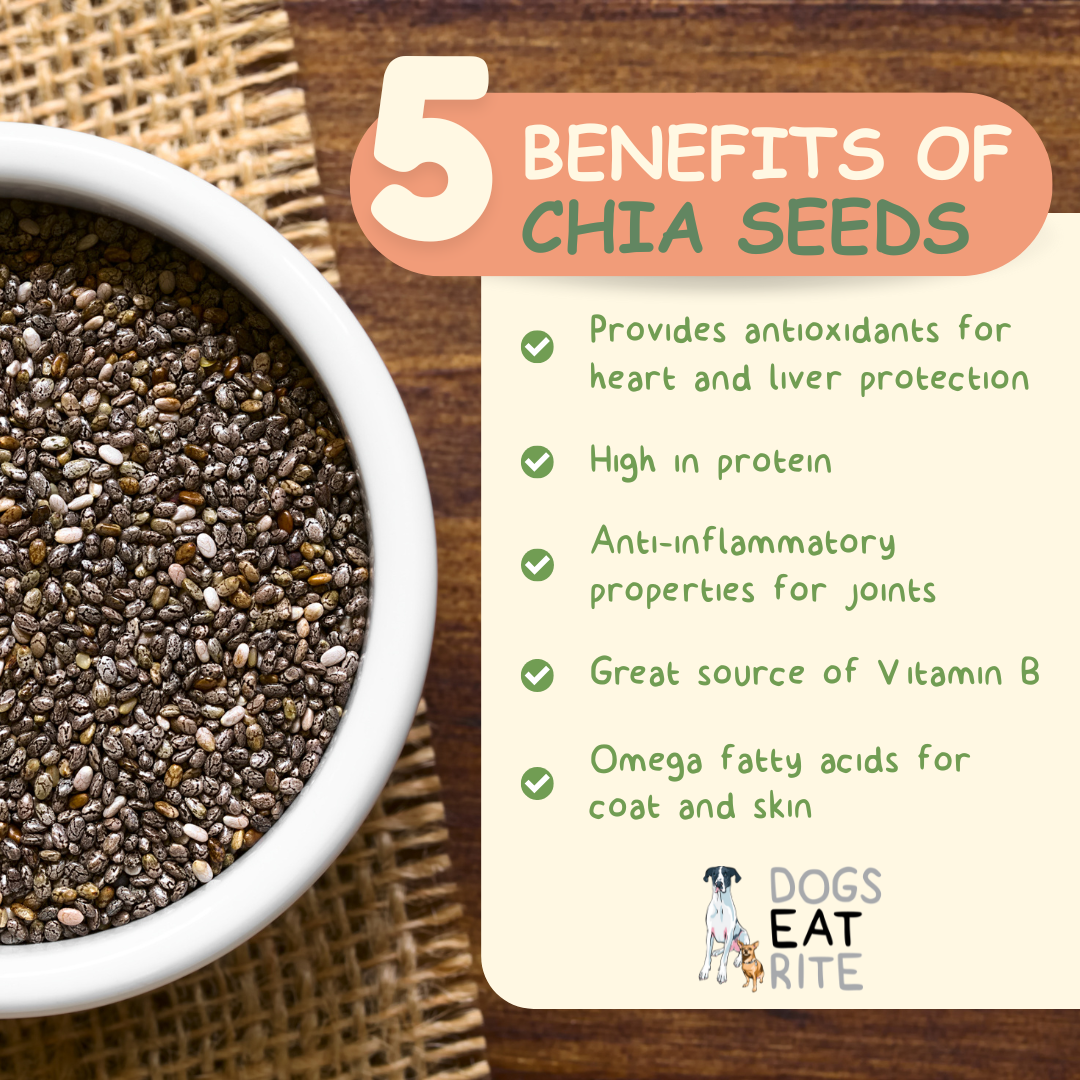 Chia Seeds for Your Dog's Health and Wellness